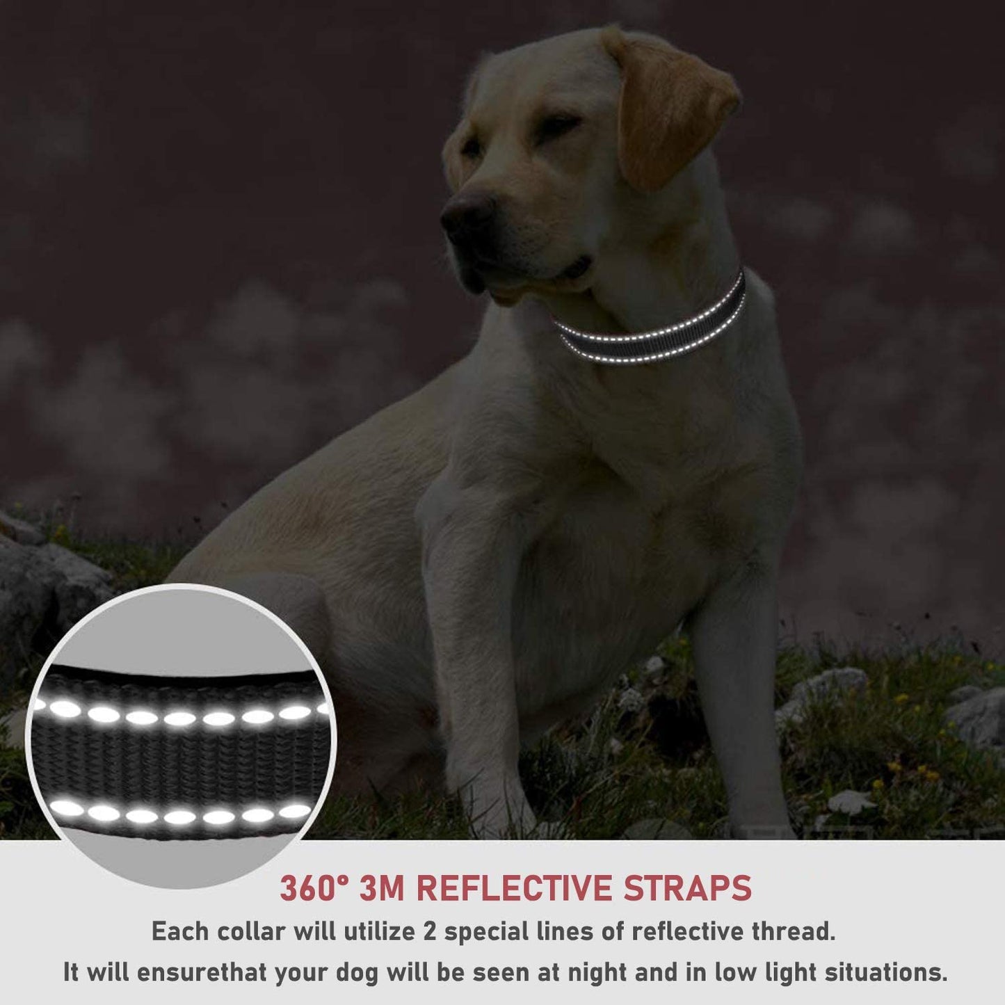 Reflective Dog Collar with Buckle Adjustable Safety Nylon Collars for Small Medium Large Dogs, Black M | Breathable Nylon Collars for Small Medium Large Dogs, No Chafing on Walks and Outdoor Hikes, Metal D-Ring, Night Safety