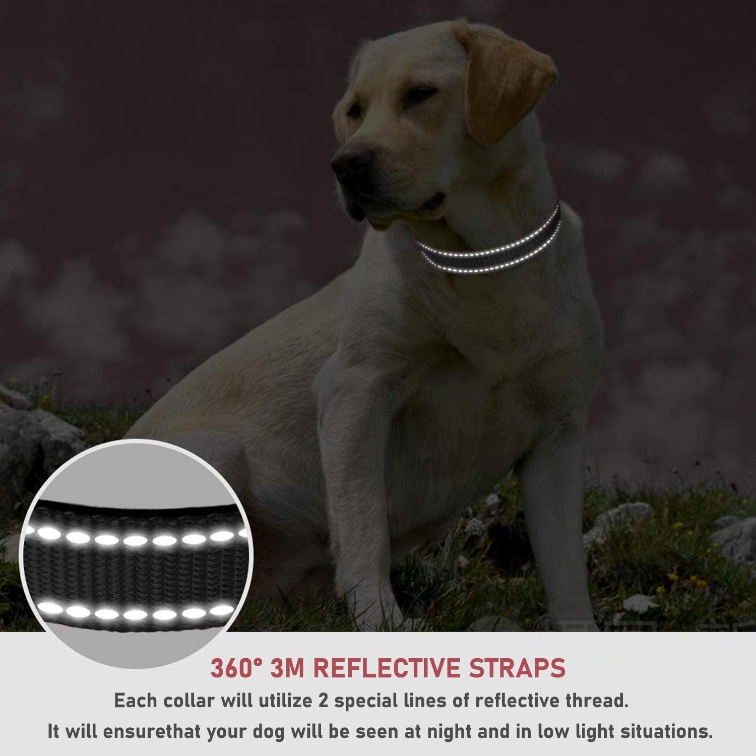 Reflective Dog Collar with Buckle Adjustable Safety Nylon Collars for Small Medium Large Dogs, Black M | Breathable Nylon Collars for Small Medium Large Dogs, No Chafing on Walks and Outdoor Hikes, Metal D-Ring, Night Safety