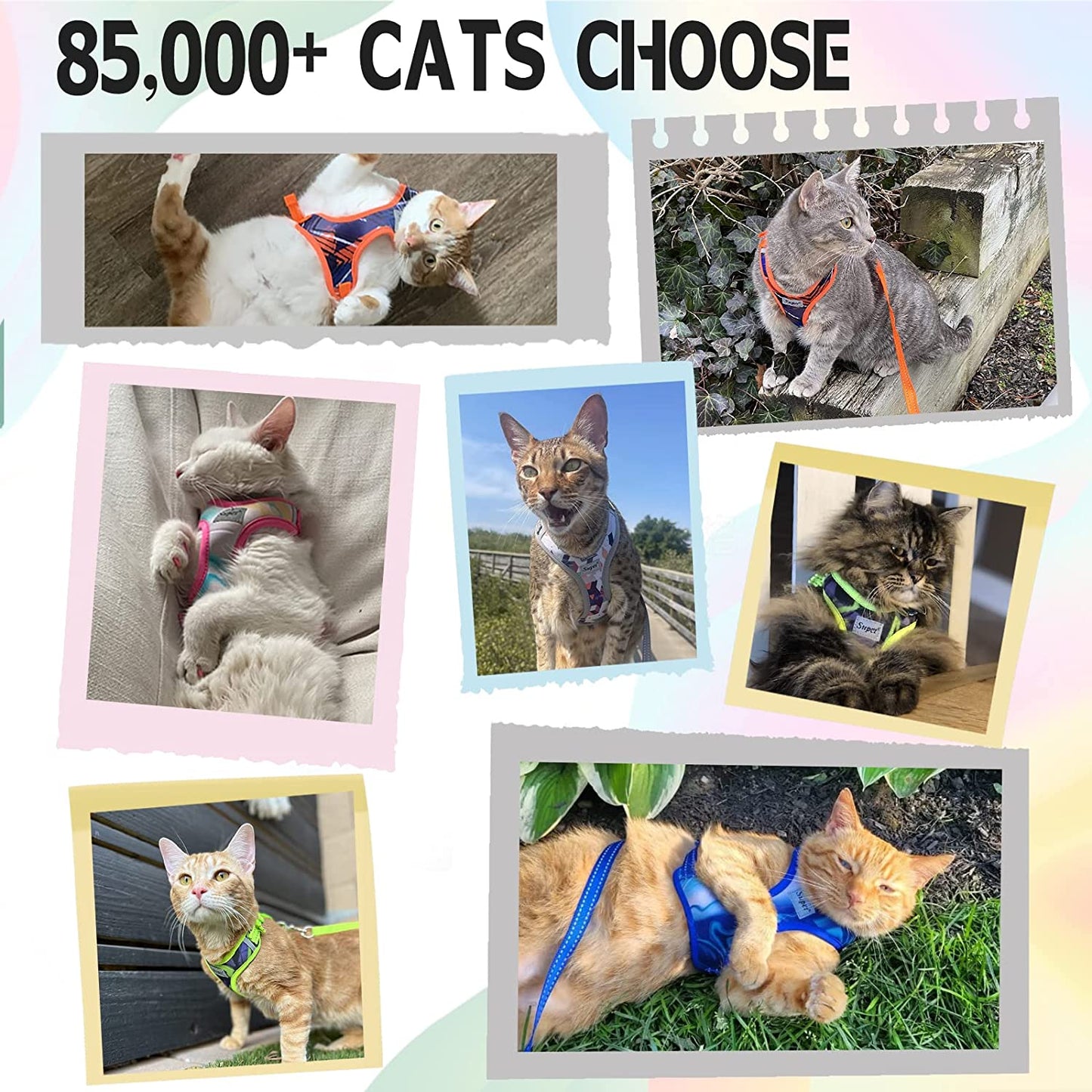 Cat Harness and Leash Escape Proof for Walking, Adjustable Cat Vest Harness and Leash Set for Large and Small Cats & Kittens