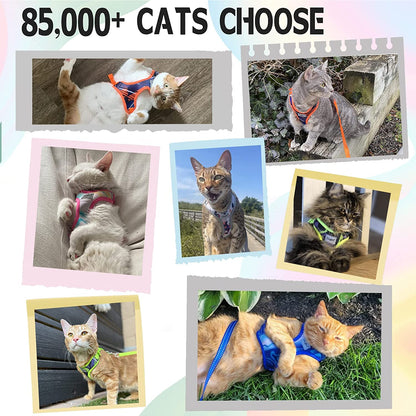 Cat Harness and Leash Escape Proof for Walking, Adjustable Cat Vest Harness and Leash Set for Large and Small Cats & Kittens