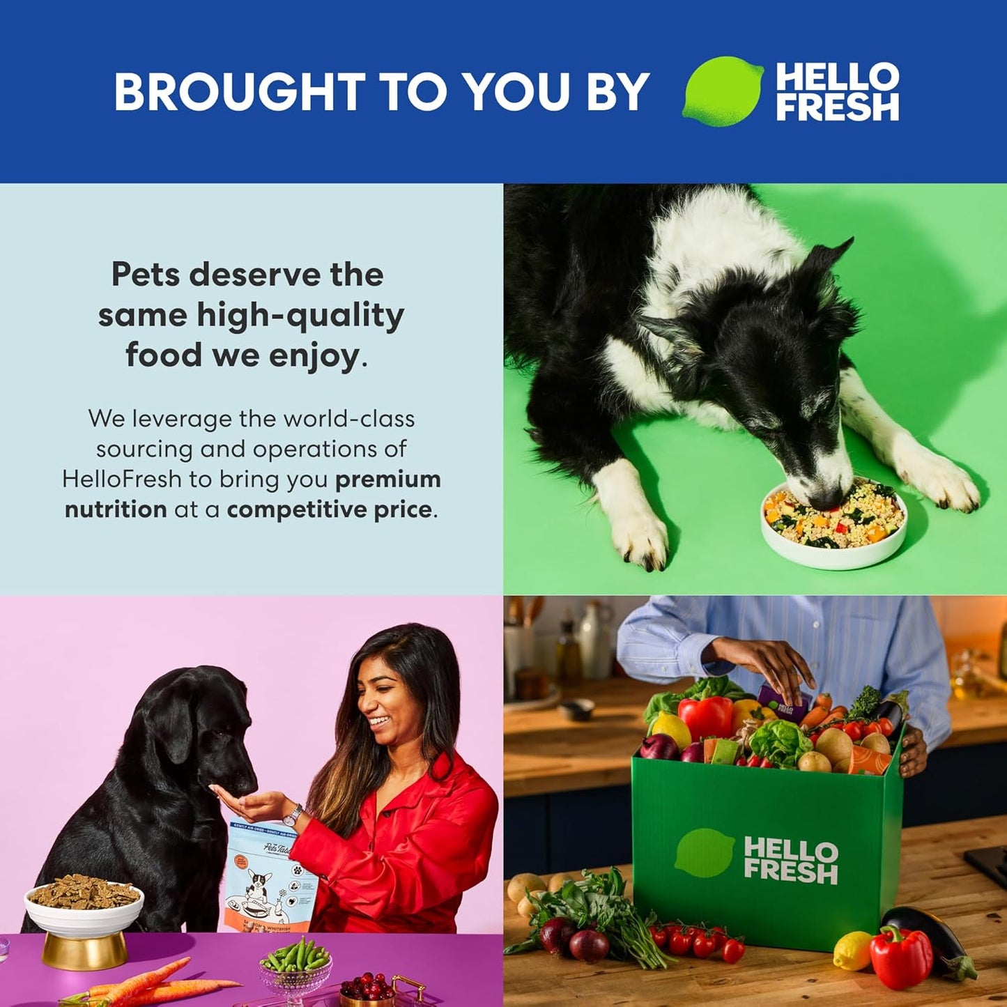 Air Dried Grain Free Dog Food for Dogs Large, Medium and Small | Puppy Dog Food, Adult Dog Food, Senior Dog Food | Beef & Berries 4.5 Lbs / 72 Oz Bag