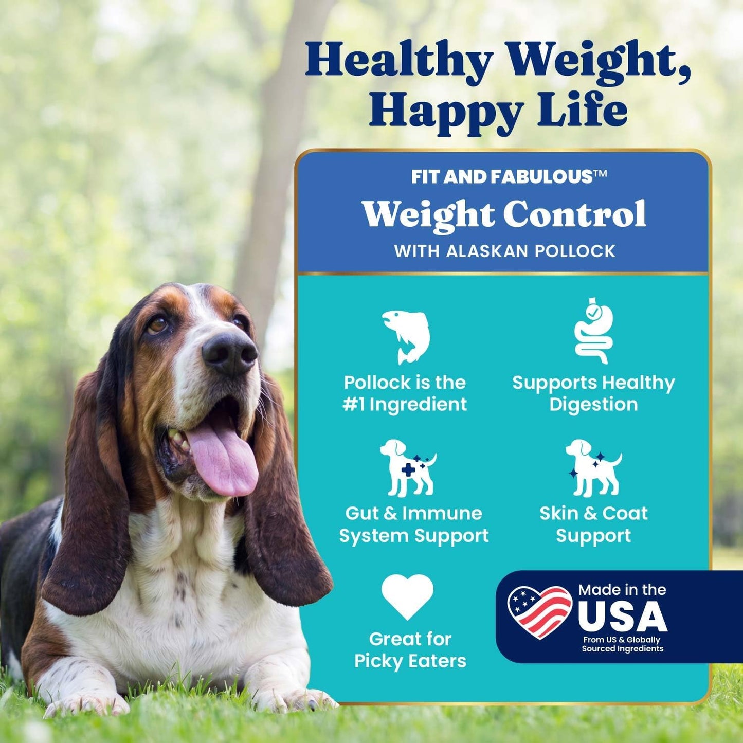 Solid Gold Healthy Weight Management Dry Dog Food for Adult & Senior Dogs - with Pollock, Whole Grain & Probiotics for Gut Health & Digestion Support - Dry Dog Food for Weight Management Support –24LB