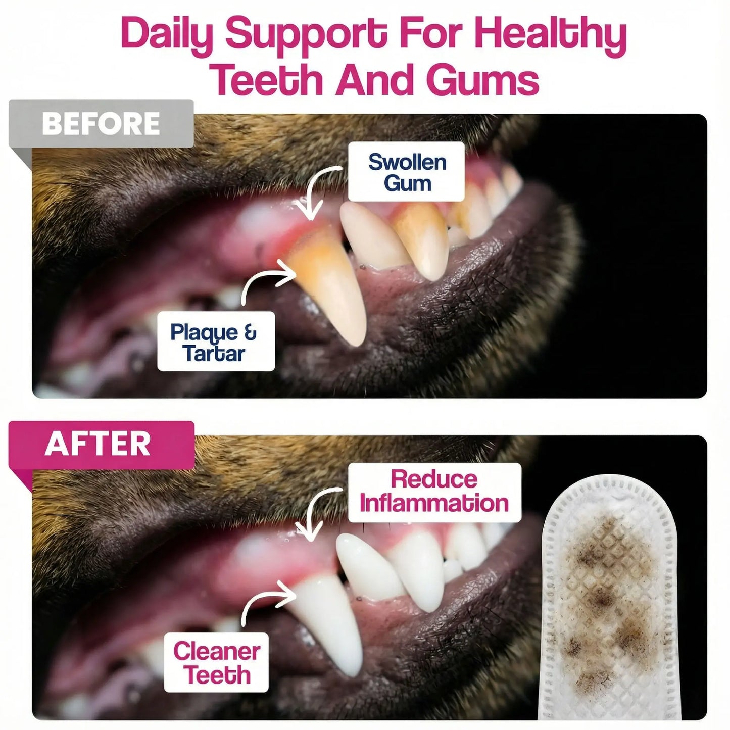 Dr. Paws Pet Care Finger Wipes – All-in-One Dental, Ear & Eye Cleaning for Dogs & Cats | Eliminate Plaque, Bad Breath, Tear Stains & Ear Wax | Hypoallergenic No-Rinse Grooming Solution