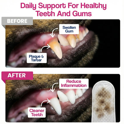 Dr. Paws Pet Care Finger Wipes – All-in-One Dental, Ear & Eye Cleaning for Dogs & Cats | Eliminate Plaque, Bad Breath, Tear Stains & Ear Wax | Hypoallergenic No-Rinse Grooming Solution