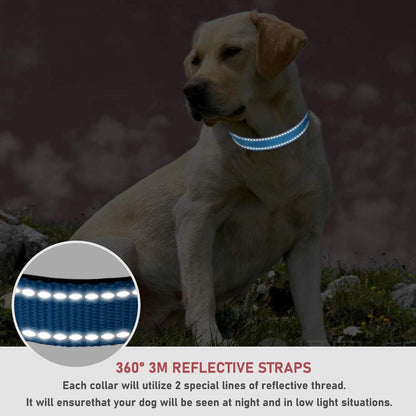 Reflective Dog Collar with Buckle Adjustable Safety Nylon Collars for Small Medium Large Dogs, Blue XL | Breathable Nylon Collars for Small Medium Large Dogs, No Chafing on Walks and Outdoor Hikes, Metal D-Ring, Night Safety