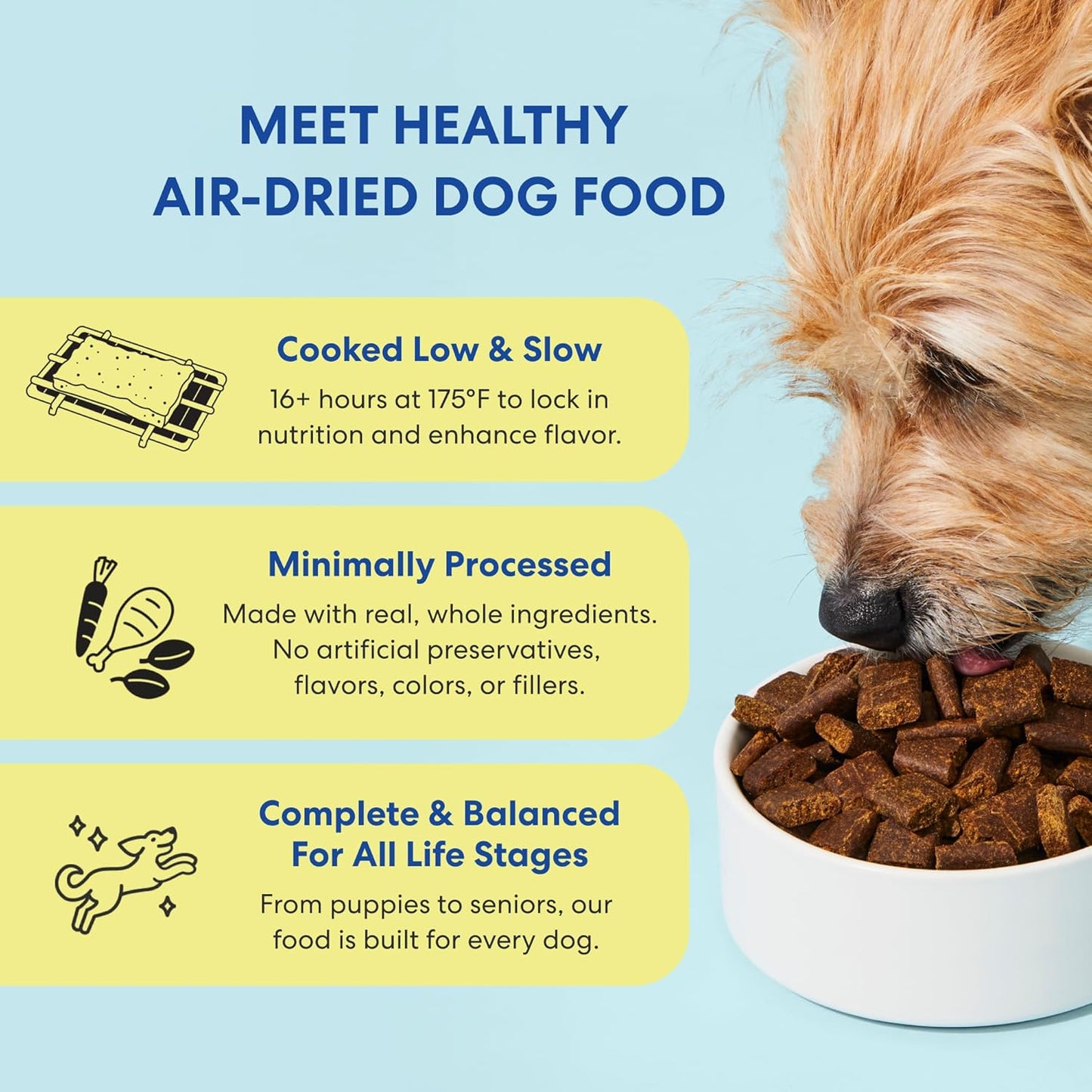 Air Dried Grain Free Dog Food for Dogs Large, Medium and Small | Puppy Dog Food, Adult Dog Food, Senior Dog Food | Beef & Berries 4.5 Lbs / 72 Oz Bag