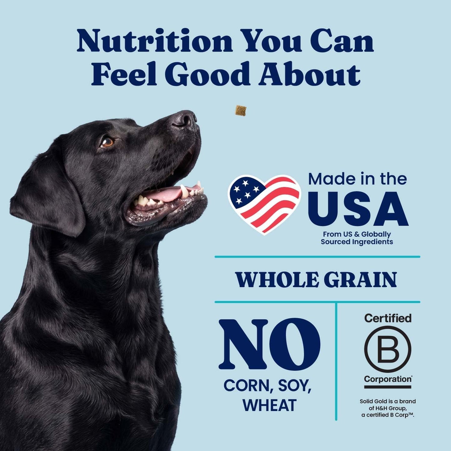 Solid Gold Healthy Weight Management Dry Dog Food for Adult & Senior Dogs - with Pollock, Whole Grain & Probiotics for Gut Health & Digestion Support - Dry Dog Food for Weight Management Support –24LB