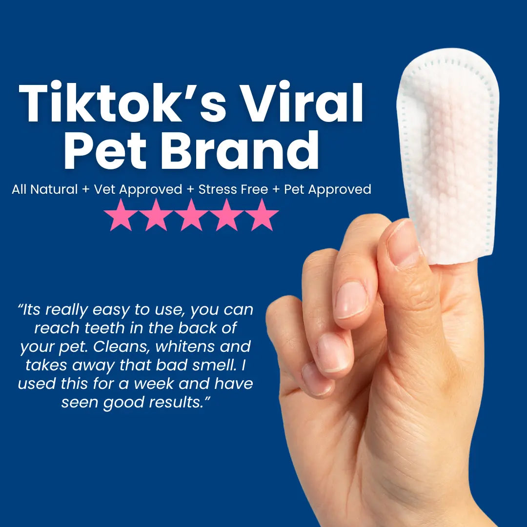 Dr. Paws Pet Care Finger Wipes – All-in-One Dental, Ear & Eye Cleaning for Dogs & Cats | Eliminate Plaque, Bad Breath, Tear Stains & Ear Wax | Hypoallergenic No-Rinse Grooming Solution