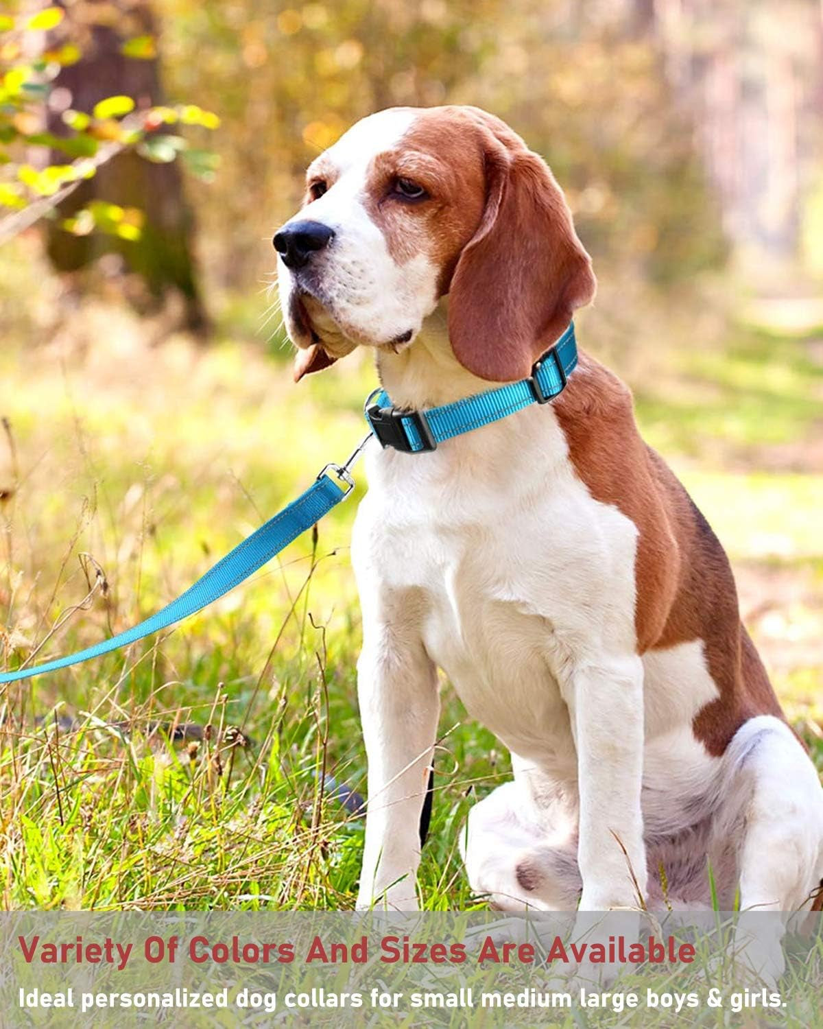 Reflective Dog Collar with Buckle Adjustable Safety Nylon Collars for Small Medium Large Dogs, Blue XL | Breathable Nylon Collars for Small Medium Large Dogs, No Chafing on Walks and Outdoor Hikes, Metal D-Ring, Night Safety